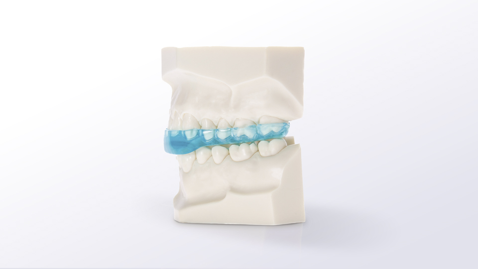 Imagen portada_Férulas_960x540