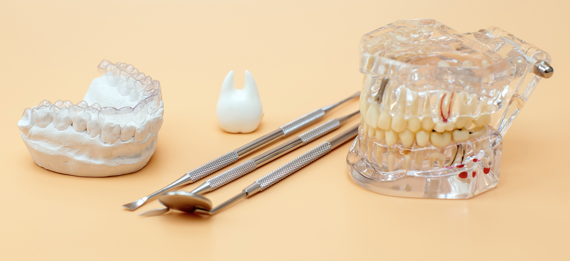 shutterstock_2260616231